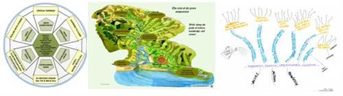 Three competencies models